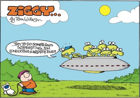 images  ziggy cartoon  pinterest