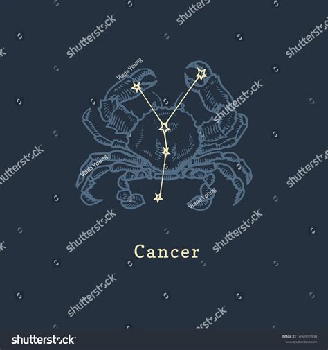 Constelación Zodiaca De Cáncer Sobre El Vector De Stock Libre De