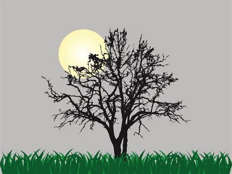tree vector vector art graphics freevectorcom