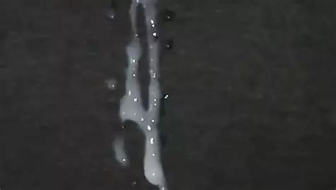 Slow Motion Spurts From Couple4cum Tribute Gay Porn 68 XHamster