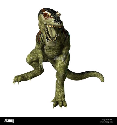 D Rendering Dinosaur Tyrannosaurus Rex On White Stock Photo Alamy