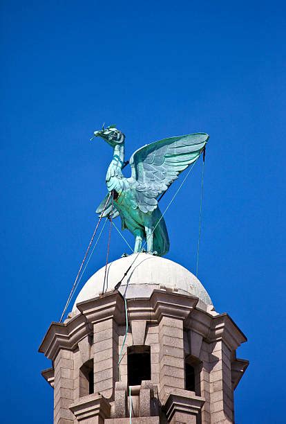 Liverpool Liver Birds Stock Photos, Pictures & Royalty-Free Images - iStock