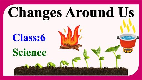 Changes Around Us Full Chapter Class Science Ncert Science