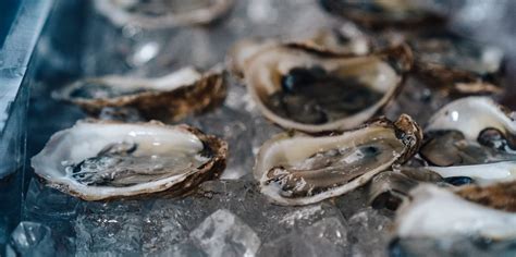 The Impudent Oyster | Seafood Restaurant | Chatham | Cape Cod | Seafood ...