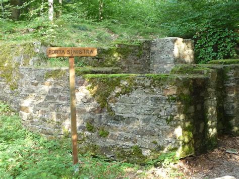 Mountainbike Burg Hohenstein Aar Höhenweg Tour 176463