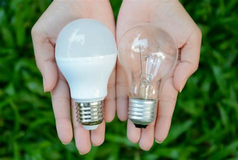 Warm Light Bulbs Vs Cool Light Bulbs What Should You Use