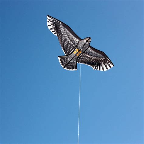 Eagle Kite Leading Edge Kites Realistic Looking Eagle Single Line