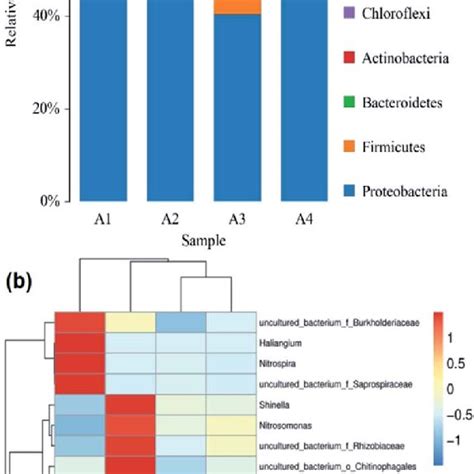 Relative Abundance Of Bacterial Communities At Phylum A And Genus B