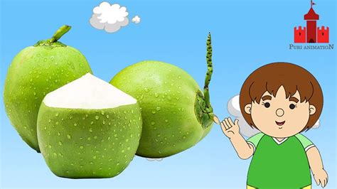 Mengenal Buah Kelapa Puri Animation Youtube