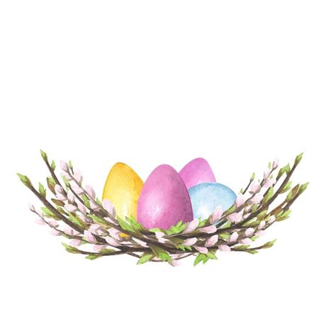 Premium Photo Willow Pussy Nest Watercolor With Colored Eggs Isolated