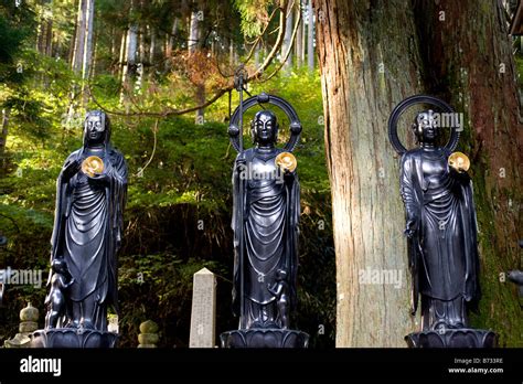 Japan Koyasan Okunoin Cemetery Row Fotograf As E Im Genes De Alta