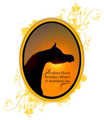 Arabian Horses | Arabian Horse Breeders Alliance of Australasia