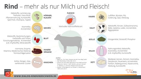 Bundesverband Rind Und Schwein Startseite Rinderfakten