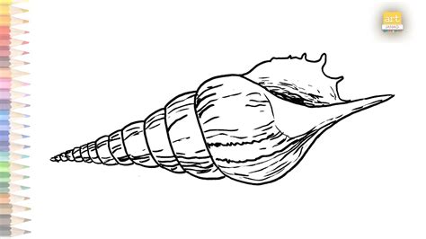 Conch Drawing Easy How To Draw Conch Shell Drawing Step By Step