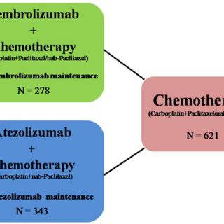 Diagram Of The Indirect Comparison Between Pembrolizumab Plus