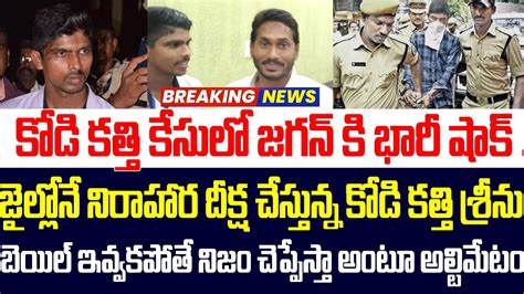 కోడి కత్తి కేసులో జగన్ కి భారీ షాక్ జైల్లోనే నిరాహార దీక్ష చేస్తున్న కోడి కత్తి శ్రీను Ys