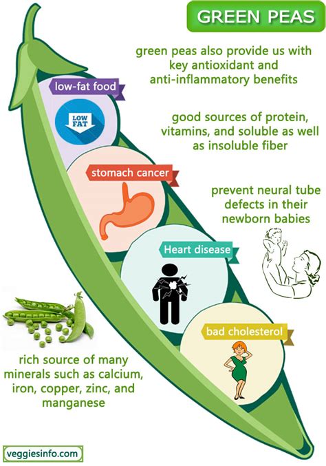 Nutrition And Health Benefits Of Green Peas Consumption Veggies Info