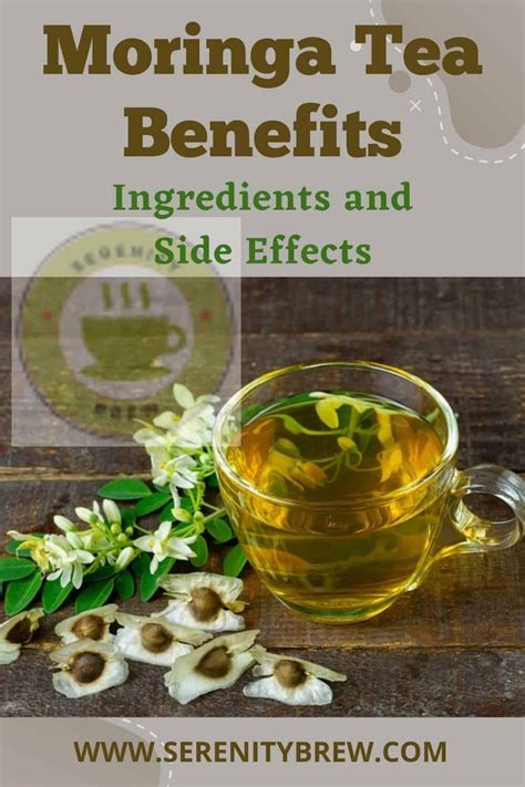 Moringa Tea Benefits Ingredients And Side Effects Serenity Brew