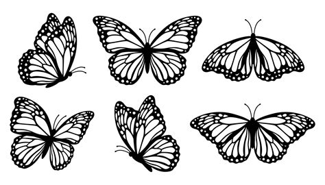 Monarch Butterfly Silhouettes Collection Vector Illustration Isolated