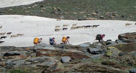 Spiti Valley Trekking Tour (24298),Holiday Packages to Manali