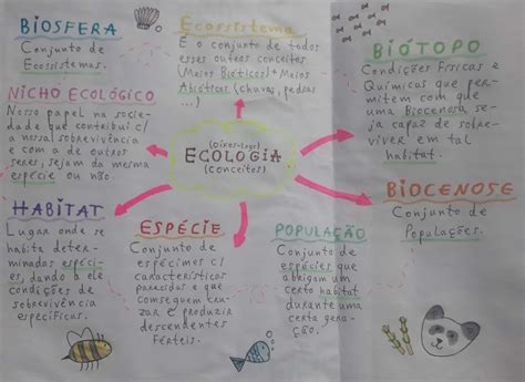 Arriba 95 Imagen Biosfera Mapa Mental Abzlocal Mx