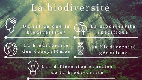 Les Chelles De La Biodiversit