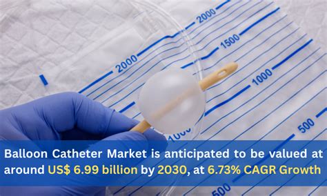 Balloon Catheter Market Size Global Forecast 2024 2030 Tech Moduler