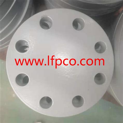 Ss Stainless Steel Flange With Rilsan Pa Grey Mac Coating