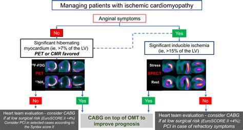 Myocardial Revascularization In Patients With Ischemic Cardiomyopathy