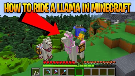 How To Ride Tame Llamas In Minecraft Youtube