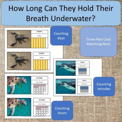 Animals That Can Hold Their Breath Underwater! Animal Study Activity ...