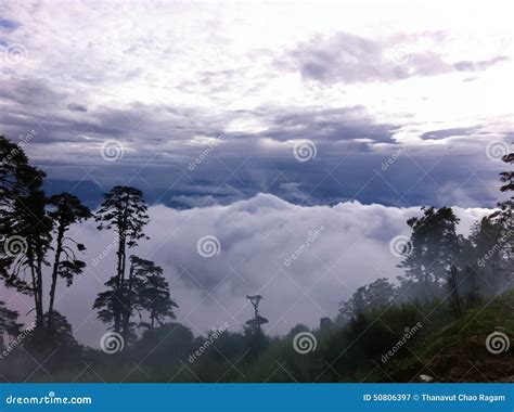 Landscapes in Bhutan stock image. Image of river, morning - 50806397