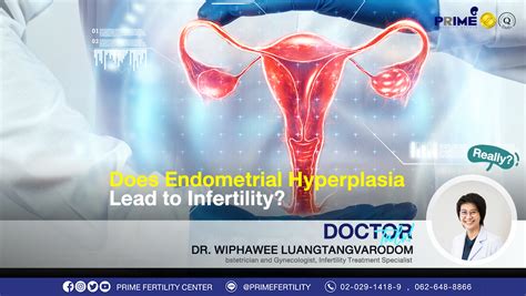 Does Endometrial Hyperplasia Lead To Infertility Prime Fertility Clinic