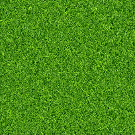 Premium Vector Green Grass Background Vector