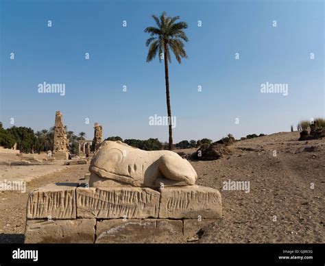 Sphinx Avenue At The Temple Of The Falcon Headed God Montu At Medamud