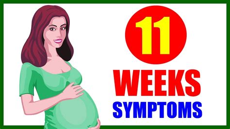 Weeks Pregnant Symptoms Baby Size In Womb And Baby Development