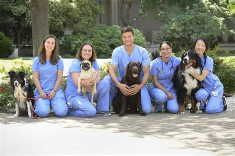 Veterinary Schools In California Los Angeles