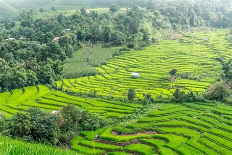 Cosa Vedere A Mae Hong Son Nel Nord Della Thailandia Travelglobe