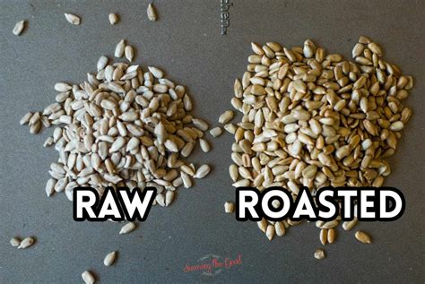 Roasting Sunflower Seeds Recipe Emilemikaella