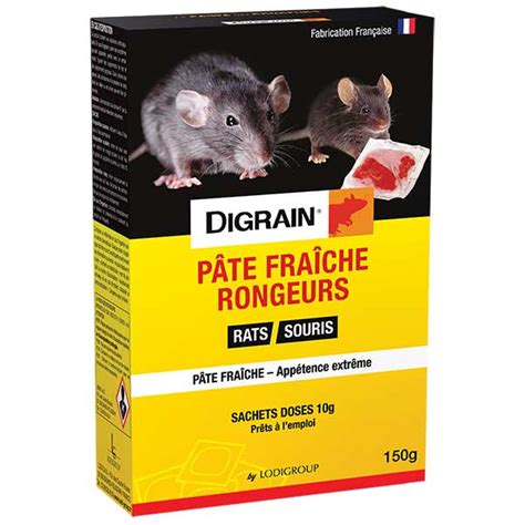 P Te Fra Che Rongeurs Digrain Solution Efficace Contre Les Rats Et Les