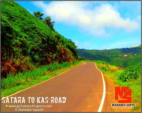 Satara Mahabaleshwar Pratapgad Thoseghar Kas Pathar Sahyadri