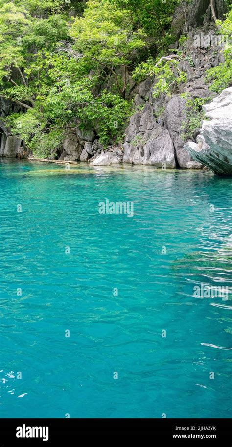 Pristine Water At Barracuda Lake Coron Palawan Surrounded By