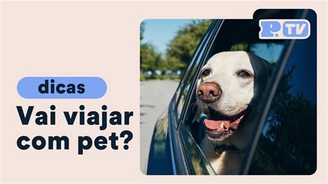 Dicas Para Viajar Seu Pet Youtube