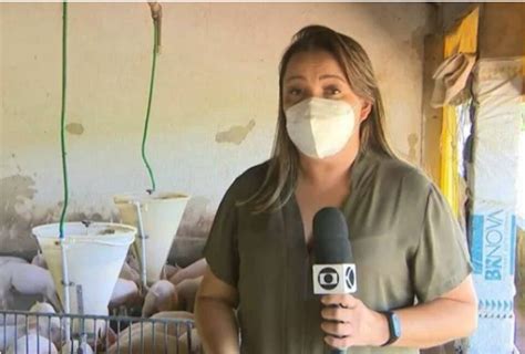 Repórter Da Tv Globo é Atacada Por Porcos Durante O Globo Rural Vídeo