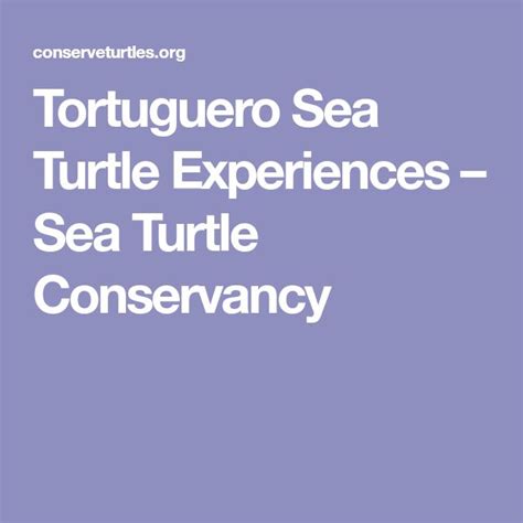 Tortuguero Sea Turtle Experiences – Sea Turtle Conservancy | Sea turtle ...