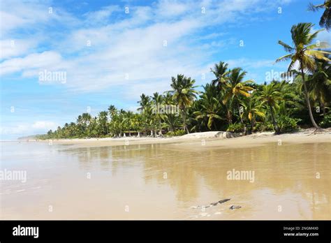 The beautiful beach of Itacarezinho in the Municipality of Itacaré