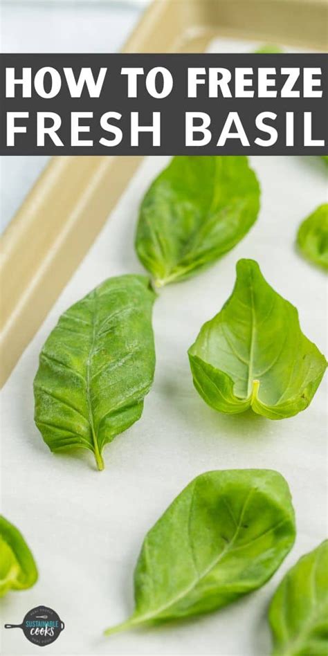 How To Freeze Basil Artofit