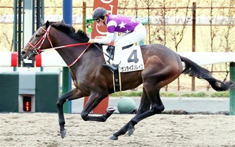 【京都2r・3歳新馬】1番人気サンライズソレイユが豪快差し切り 川田将雅騎手「もっとよくなる馬だと思います」 競馬ニュース Netkeiba