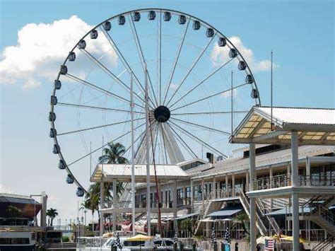 Las Mejores Cosas Que Hacer En Miami Rutainfinita