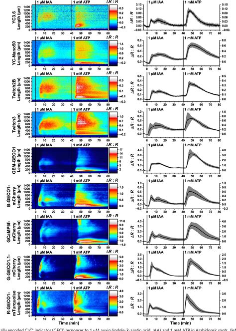 Figure From Multiparameter Imaging Of Calcium And Abscisic Acid And